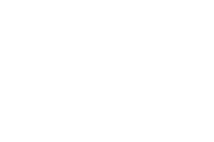 lezyne